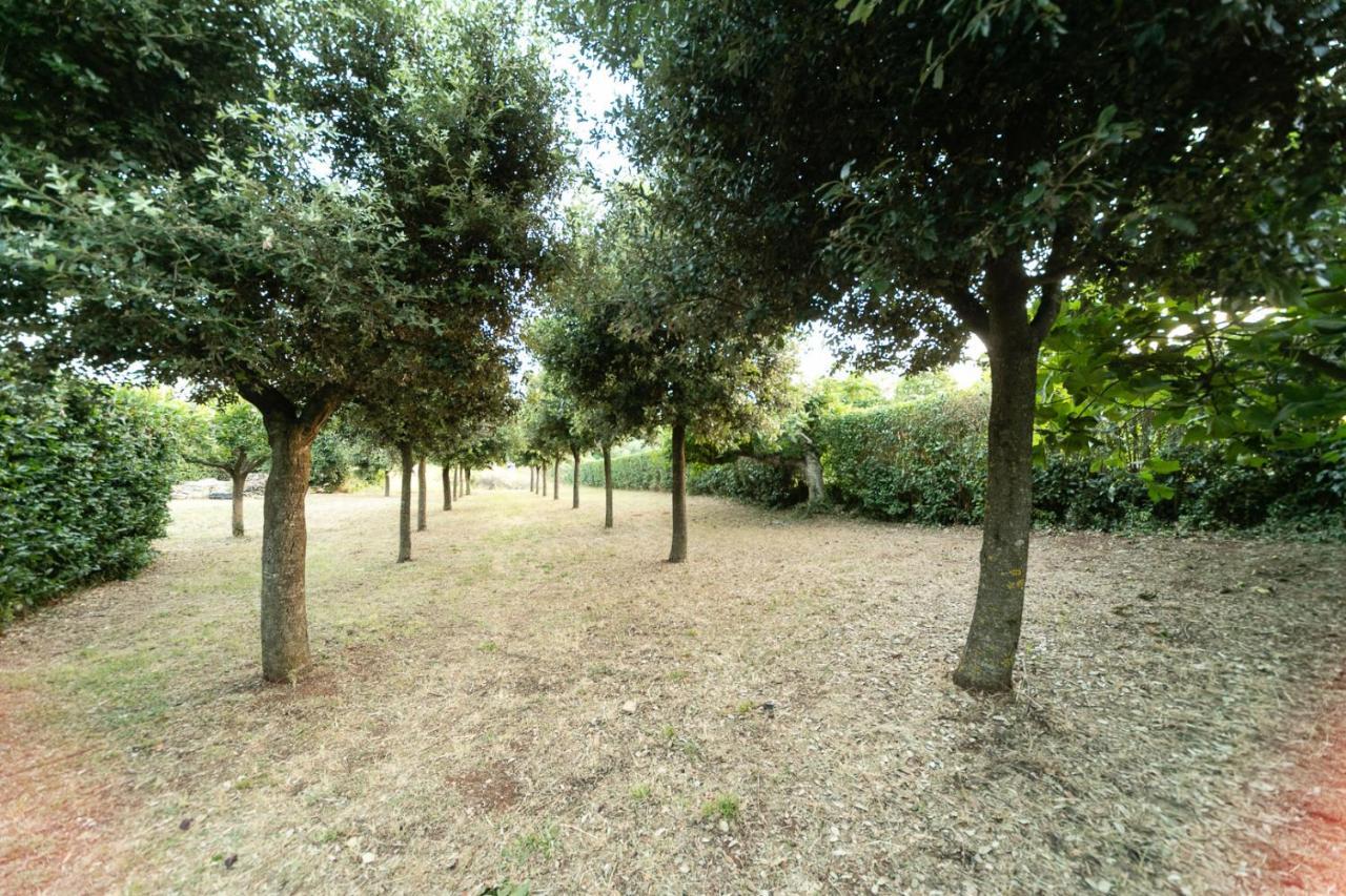 Vila Dimora Beatrice Martina Franca Exteriér fotografie