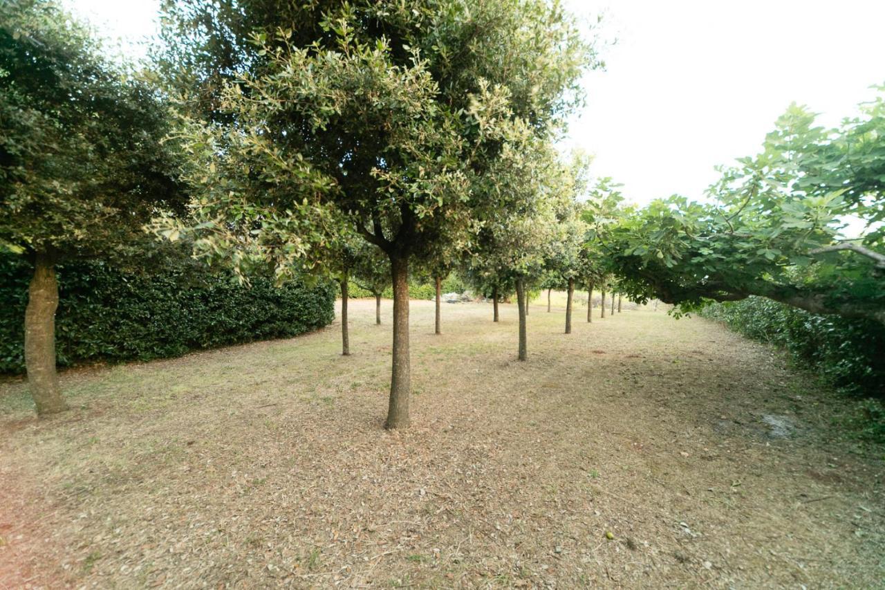 Vila Dimora Beatrice Martina Franca Exteriér fotografie